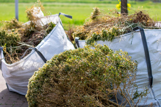 Best Hoarding Cleanup  in Nelsonville, OH